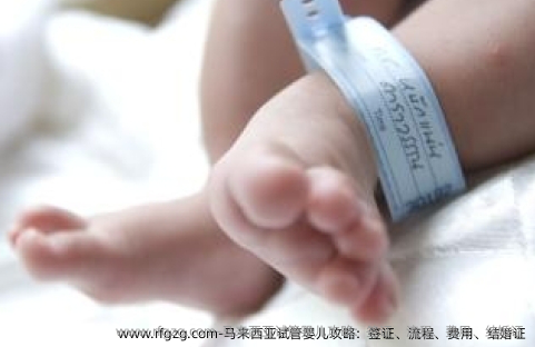 马来西亚代孕攻略：签证、流程、费用、结婚证