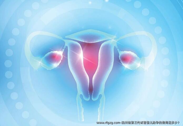 四川做第三代代孕助孕的费用是多少？