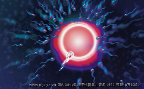 国内做HIV洗精子代孕要多少钱？预算10万够吗？