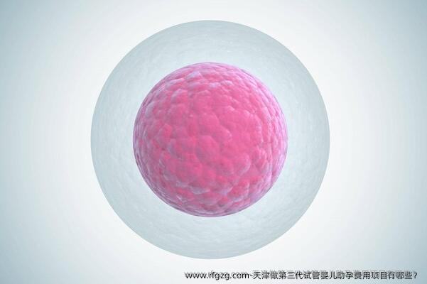 天津做第三代代孕助孕费用项目有哪些？
