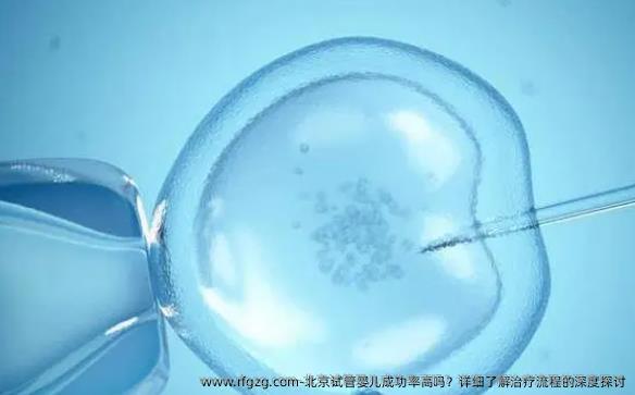 北京代孕成功率高吗？详细了解治疗流程的深度探讨