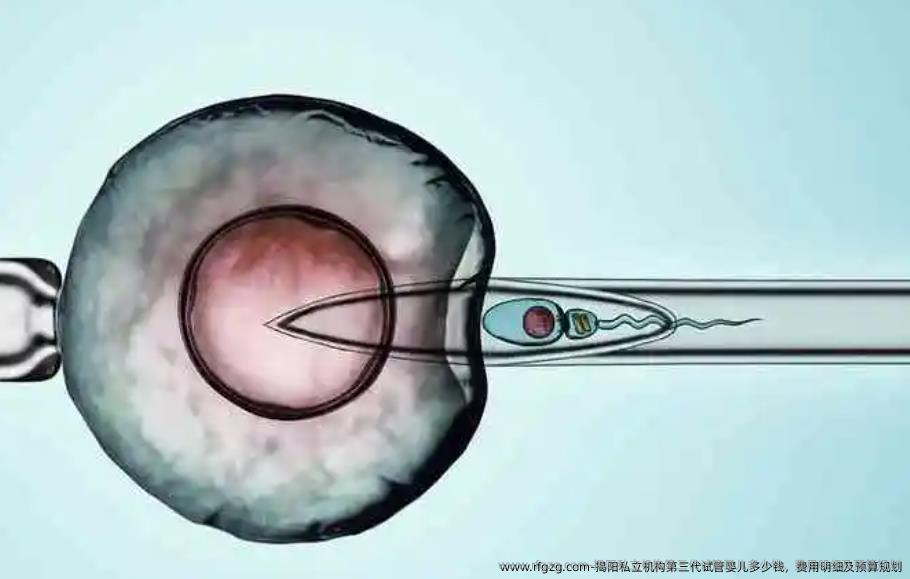 揭阳私立机构第三代代孕多少钱，费用明细及预算规划