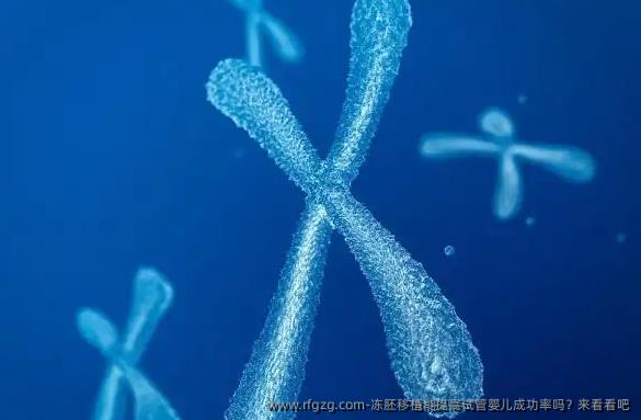 冻胚移植能提高代孕成功率吗？来看看吧
