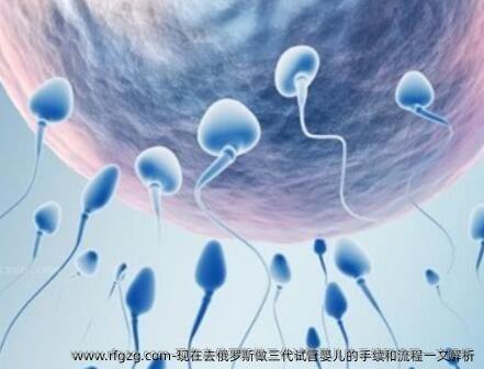 现在去俄罗斯做三代代孕的手续和流程一文解析