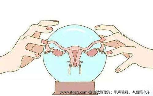 泰国代孕：机构选择，从细节入手