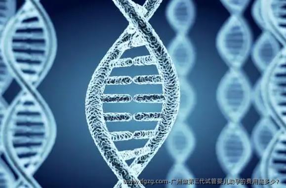 广州做第三代代孕助孕的费用是多少？