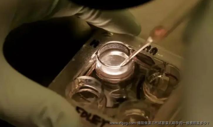 绵阳做第三代代孕助孕的一般费用是多少？