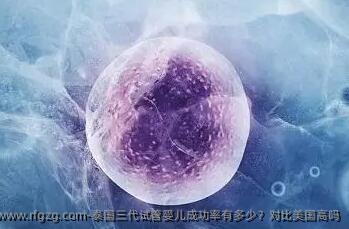 泰国三代代孕成功率有多少？对比美国高吗