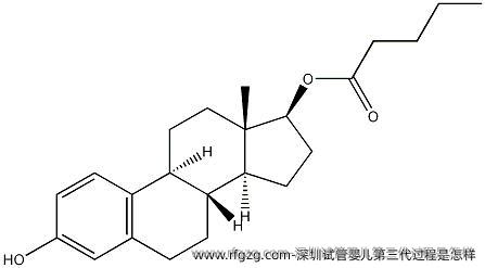 深圳试管婴儿第三代过程是怎样