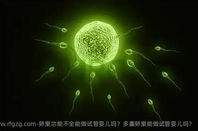 卵巢功能不全能做代孕吗？多囊卵巢能做代孕吗? 