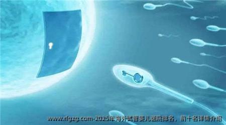 2025年海外代孕医院排名，前十名详情介绍