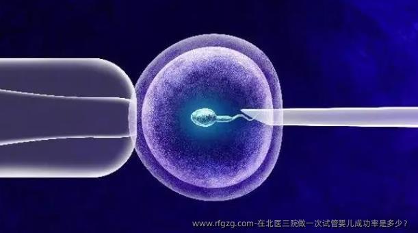 在北医三院做一次代孕成功率是多少？
