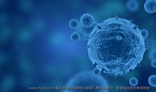 韶关市妇幼保健院代孕费用是多少？附医院试管的费用明细！