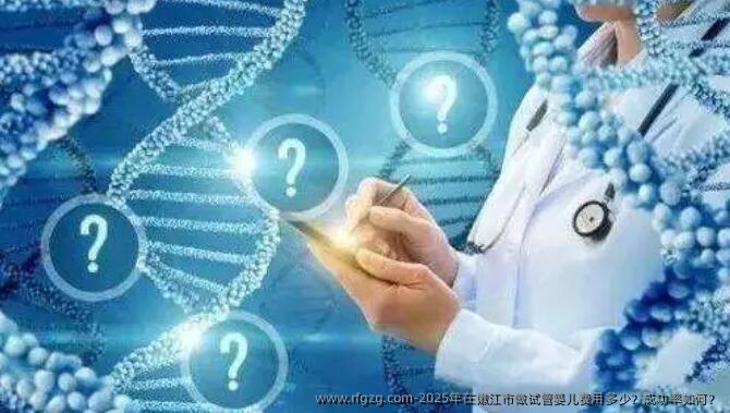 2025年在嫩江市做代孕费用多少？成功率如何？