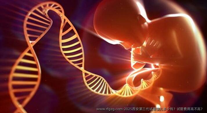 2025西安第三代代孕多少钱？试管费用高不高？