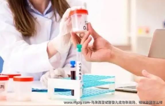 马来西亚代孕成功率高吗，相比泰国怎么样