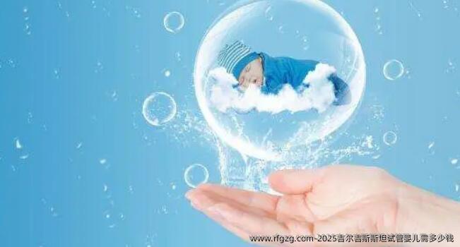 2025吉尔吉斯斯坦试管婴儿需多少钱