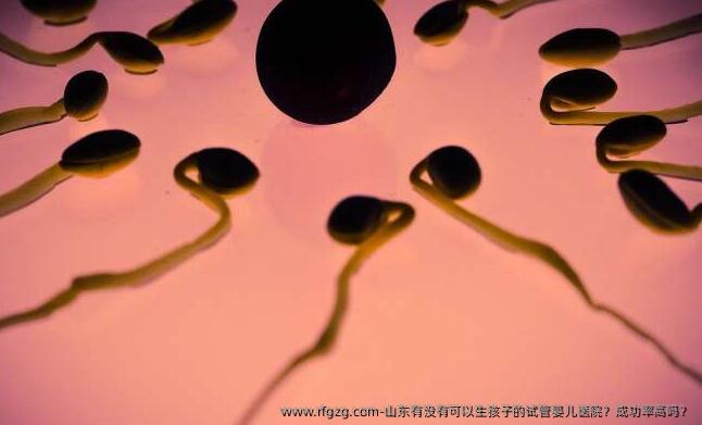 山东有没有可以生孩子的代孕医院？成功率高吗？
