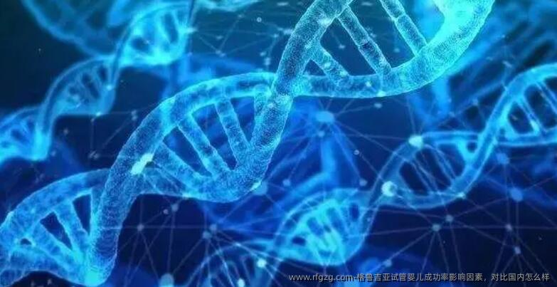 格鲁吉亚代孕成功率影响因素，对比国内怎么样