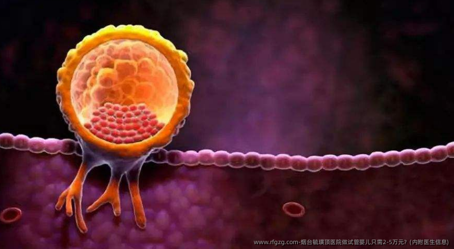 烟台毓璜顶医院做代孕只需2-5万元？(内附医生信息)