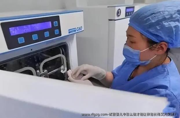 代孕中怎么做才能让卵泡长得又大又好？