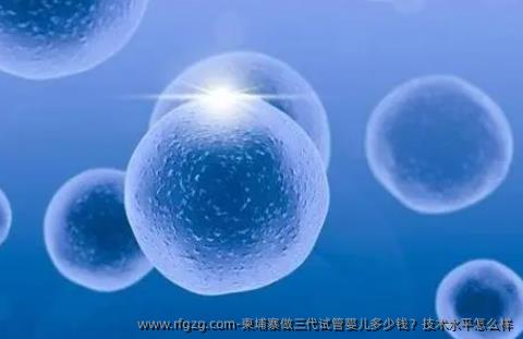 柬埔寨做三代代孕多少钱？技术水平怎么样