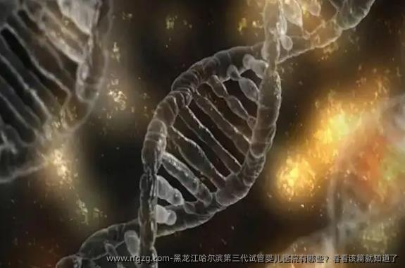黑龙江哈尔滨第三代代孕医院有哪些？看看该篇就知道了