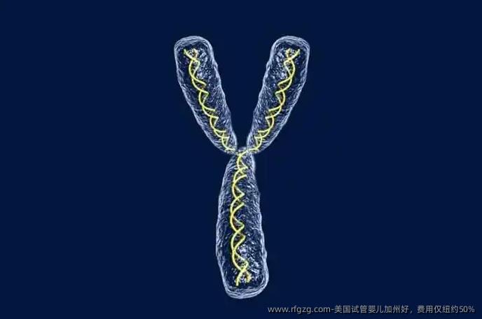 美国代孕加州好，费用仅纽约50%