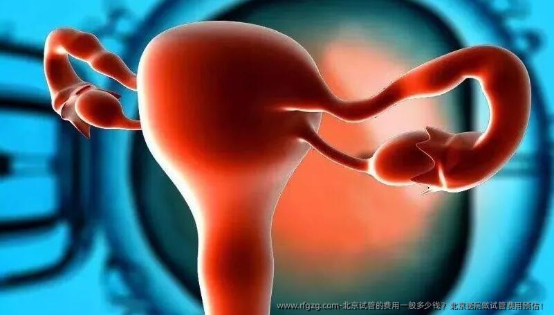北京试管的费用一般多少钱？北京医院做试管费用预估！