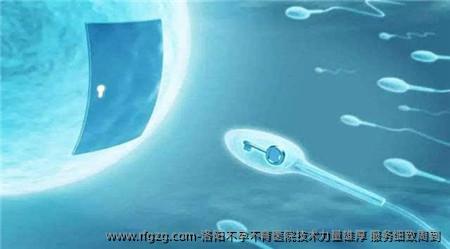 洛阳不孕不育医院技术力量雄厚 服务细致周到