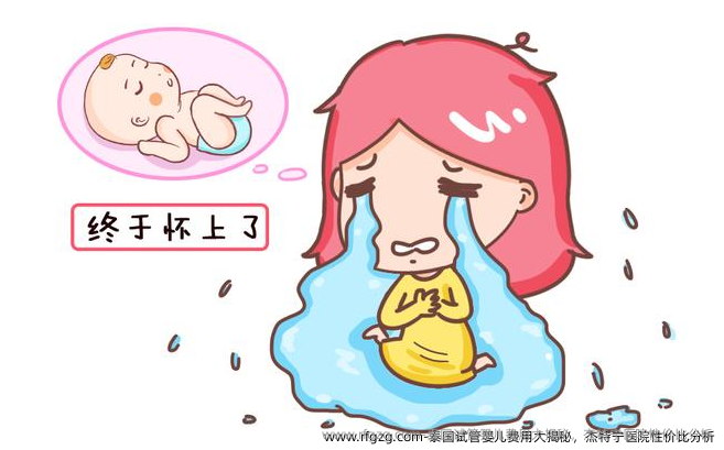 泰国代孕费用大揭秘，杰特宁医院性价比分析