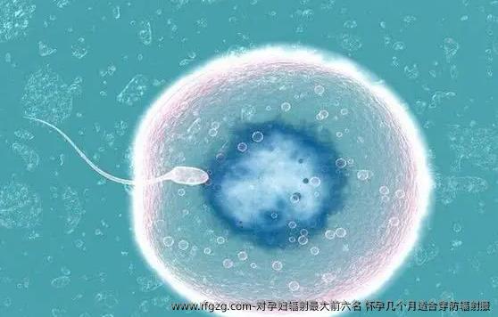 对孕妇辐射最大前六名 怀孕几个月适合穿防辐射服