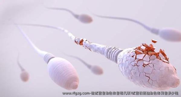 做试管查染色体查哪几项?试管前胚胎染色体筛查多少钱