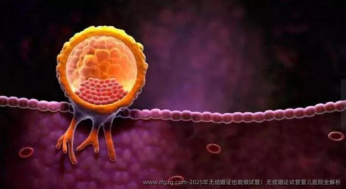 2025年无结婚证也能做试管！无结婚证代孕医院全解析